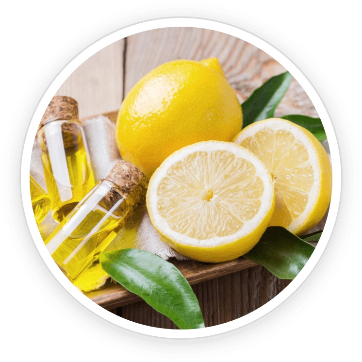 Illustration accompanying Lemon Essential Oil