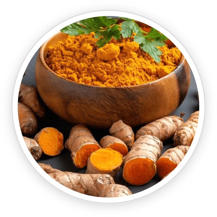 Illustration accompanying Turmeric Oil