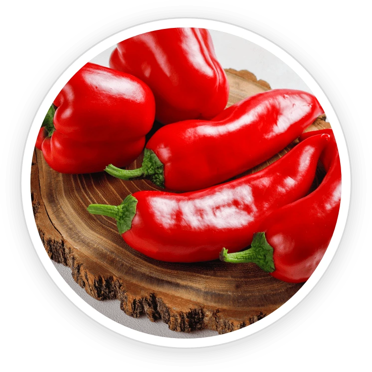 Illustration accompanying Capsicum Essential Oil