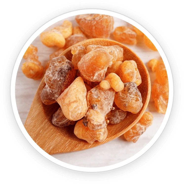 Illustration accompanying Frankincense Essential Oil